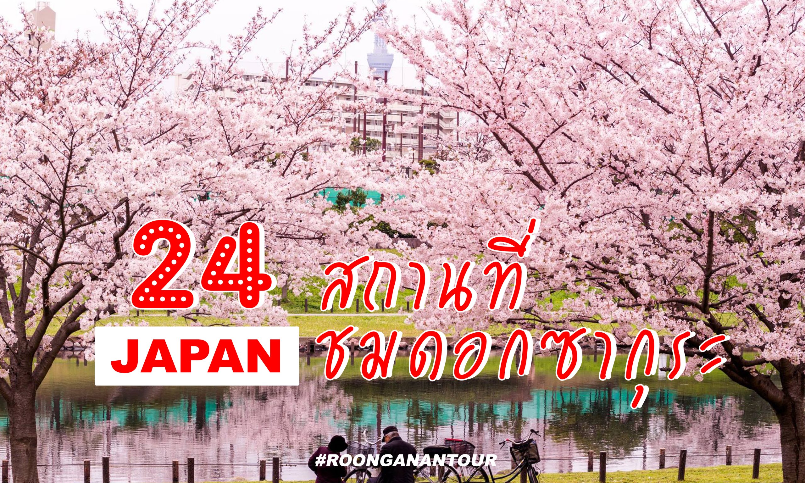 24 สถานที่ชมดอกซากุระญี่ปุ่น สุดฮอต